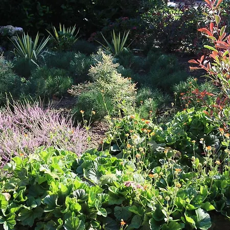 Bed & Breakfast Biedermeier