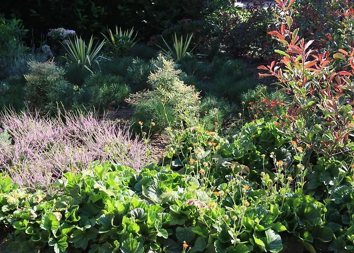 فندق مبيت وإفطار Biedermeier